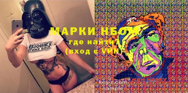 молекула духа Лабытнанги