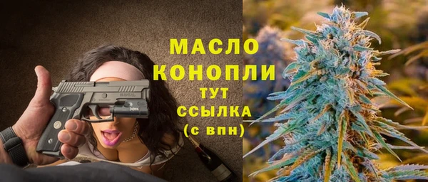 молекула духа Лабытнанги