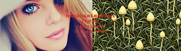 молекула духа Лабытнанги